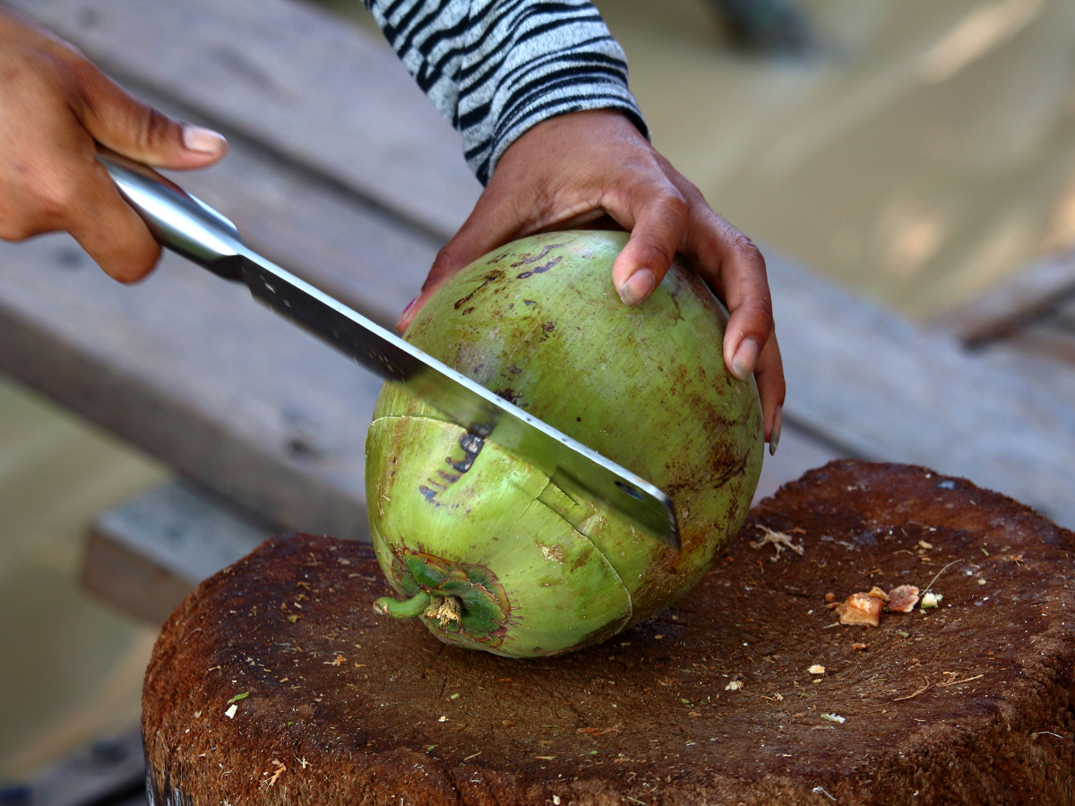 Fresh Coconut Close-up